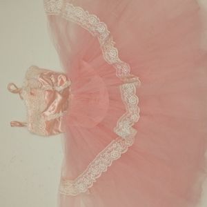 Pink Ballet Dance Costume Fairy Princess Nice Quality Net Circle Skirt Satin Top